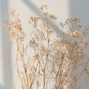 Meet your Posher, Sterling